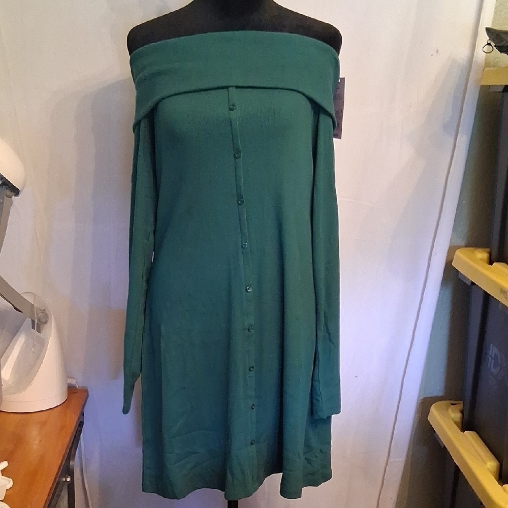 Wild Fable Green Women's Dress Size L